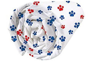 41lZUPnd5wL._AC_UL320_