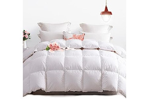 51QrttNeM8L._AC_UL320_