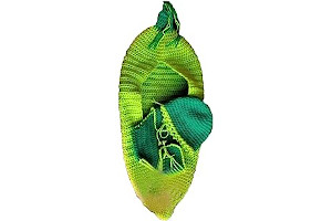 51bBwV92-6L._AC_UL320_