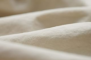 61pCbjIY8NL._AC_UL320_