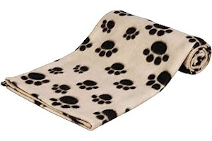 61w5EzCsH1S._AC_UL320_