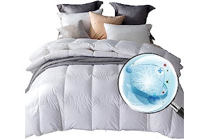 71t5nHGaSJL._AC_UL320_