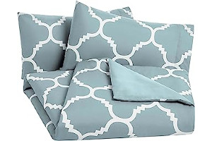 81FBllsD54L._AC_UL320_