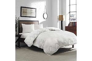 81Mpk4XlZkL._AC_UL320_