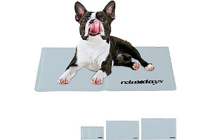 81QeAXk6dkL._AC_UL320_