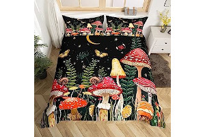 81q8JqLP9DL._AC_UL320_