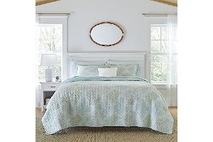 911Se9EjmPL._AC_UL320_