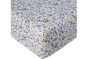 9152Ti8KdqL._AC_UL320_