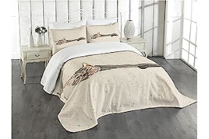 91aS-Abc-sL._AC_UL320_