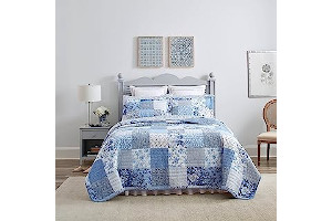 91yWv2V5CeL._AC_UL320_