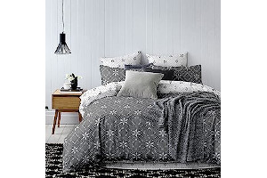 A1uoEbbC2oL._AC_UL320_